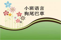 小班语言狗尾巴草PPT课件