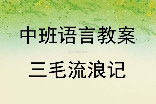 中班语言活动三毛流浪记教案反思