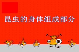 幼儿园昆虫主题PPT课件
