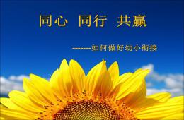 幼儿园幼小衔接讲座如何做好幼小衔接PPT课件