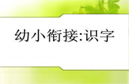 幼儿园幼小衔接语文优质课识字PPT课件