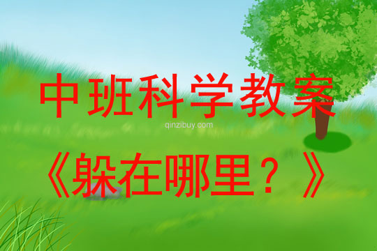 中班科学教案：躲在哪里？中班科学教案：躲在哪里？