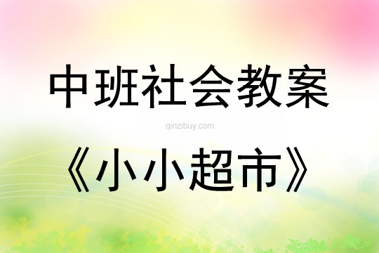 中班社会小小超市教案反思