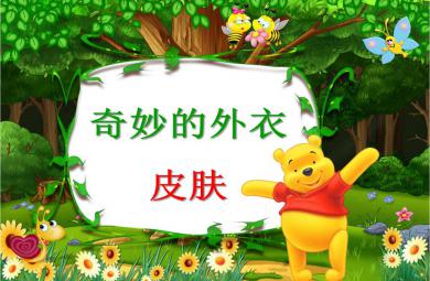 中班健康奇妙的外衣——皮肤PPT课件