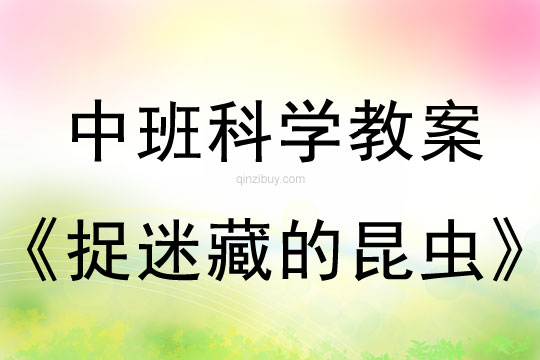 中班科学教案：捉迷藏的昆虫中班科学：捉迷藏的昆虫