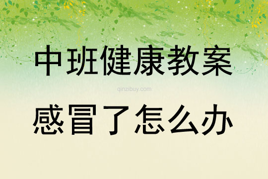 中班健康感冒了怎么办教案反思
