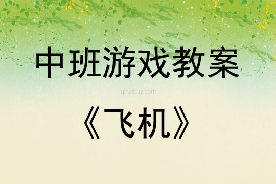 中班结构游戏飞机教案