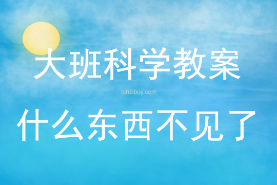 大班科学什么东西不见了说课稿教案反思