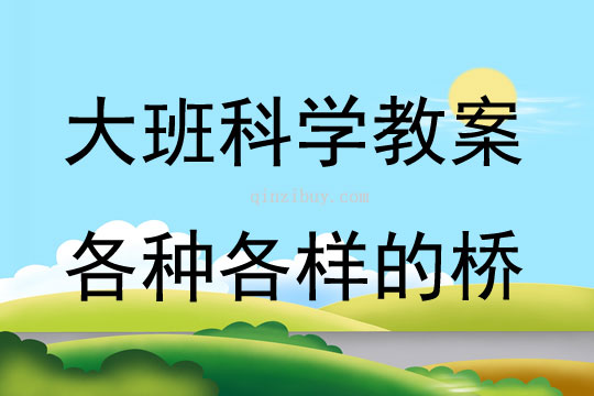 大班科学各种各样的桥说课稿教案反思