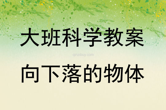 大班科学向下落的物体教案反思