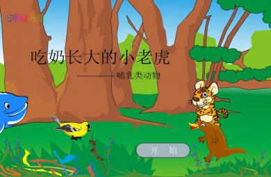 幼儿园哺乳动物--吃奶长大的小老虎FLASH课件动画