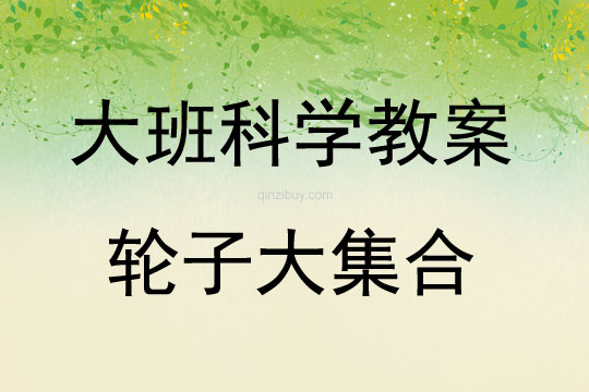 大班科学轮子大集合教案反思