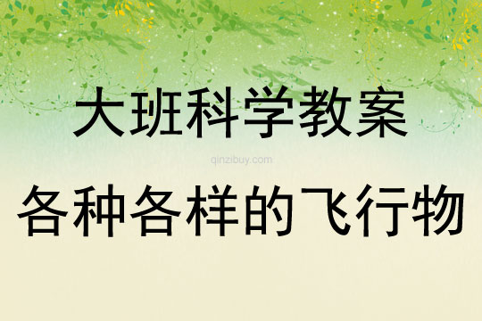 大班科学各种各样的飞行物教案