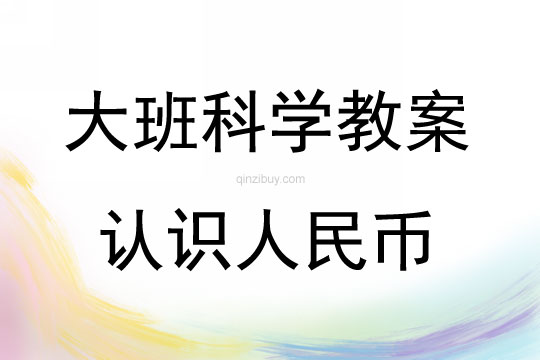 大班科学活动认识人民币教案反思