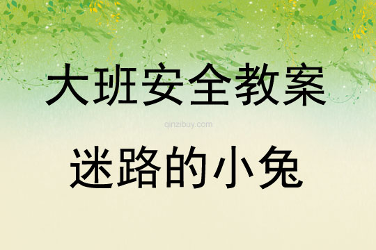 大班安全教育迷路的小兔教案反思