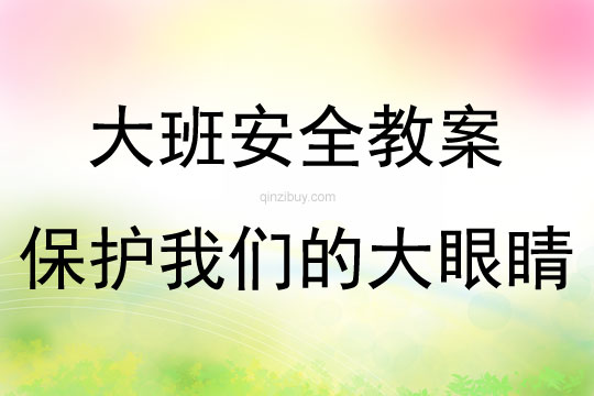 大班安全保护我们的大眼睛教案反思