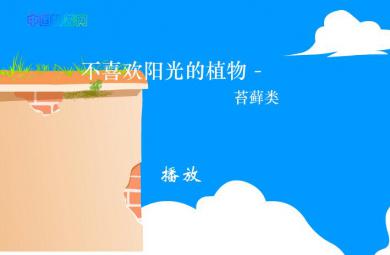 幼儿园科学不喜欢阳光的植物-苔藓类FLASH课件动画