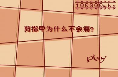 幼儿园科普剪指甲为什么不会痛？FLASH课件动画