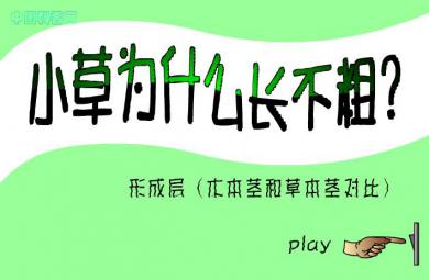 幼儿园科学小草为什么长不粗？FLASH课件动画