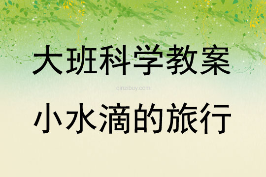 大班科学活动小水滴的旅行教案反思