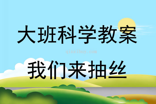 大班科学活动我们来抽丝教案反思