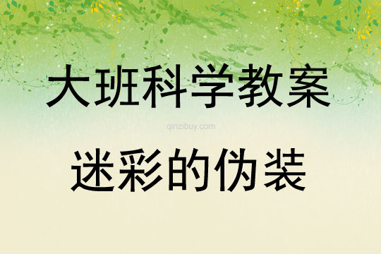 大班科学活动迷彩的伪装教案反思