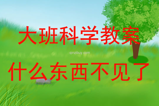 大班科学什么东西不见了教案反思