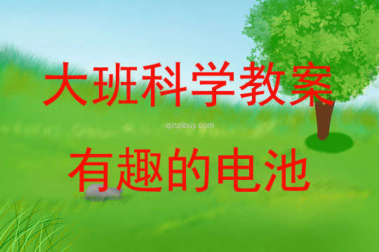 大班科学有趣的电池教案反思