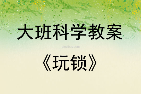 大班科学活动玩锁教案反思