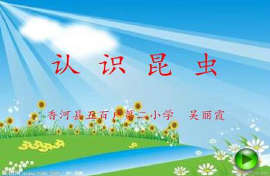幼儿园中班科学认识昆虫FLASH课件动画