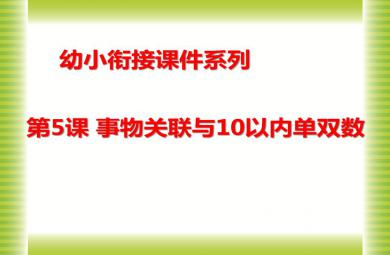 幼儿园幼小衔接事物关联与10以内单双数PPT课件