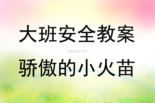 大班安全骄傲的小火苗教案反思