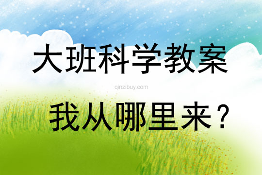 大班科学活动我从哪里来？教案反思