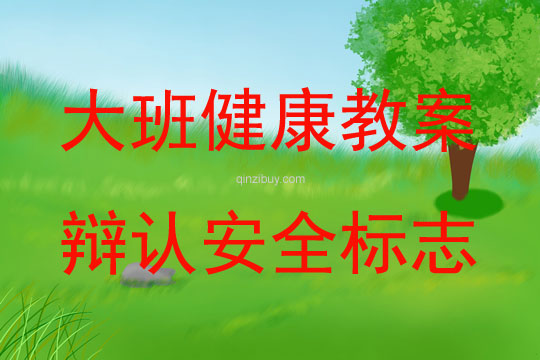 大班健康活动辩认安全标志教案反思