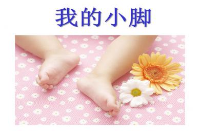 小班主题我的小脚PPT课件