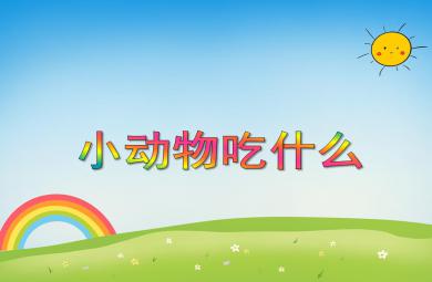 小班科学小动物吃什么PPT课件