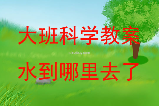 大班科学水到哪里去了教案反思