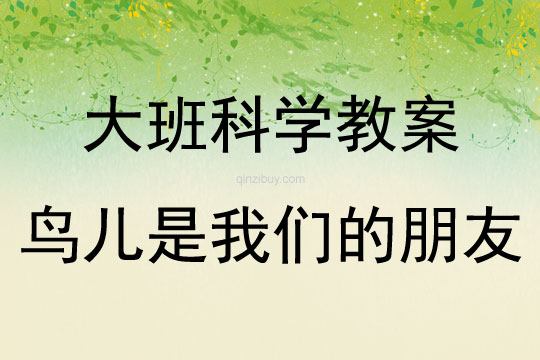 大班科学鸟儿是我们的朋友教案反思