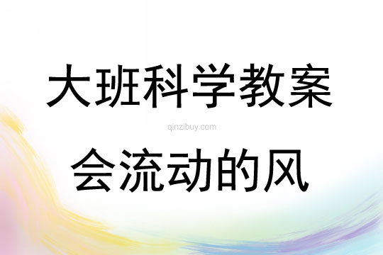 大班科学会流动的风教案反思