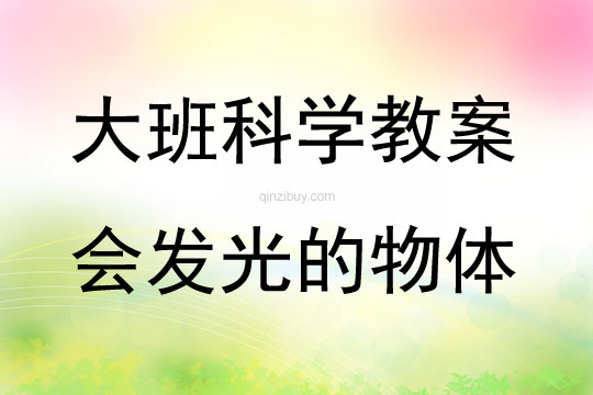 大班科学会发光的物体教案