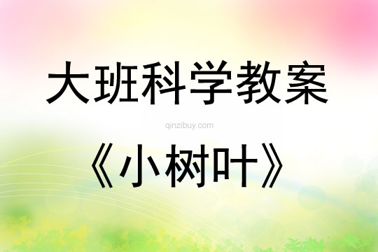 大班科学活动小树叶教案反思