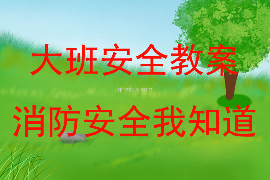 大班安全消防安全我知道教案反思