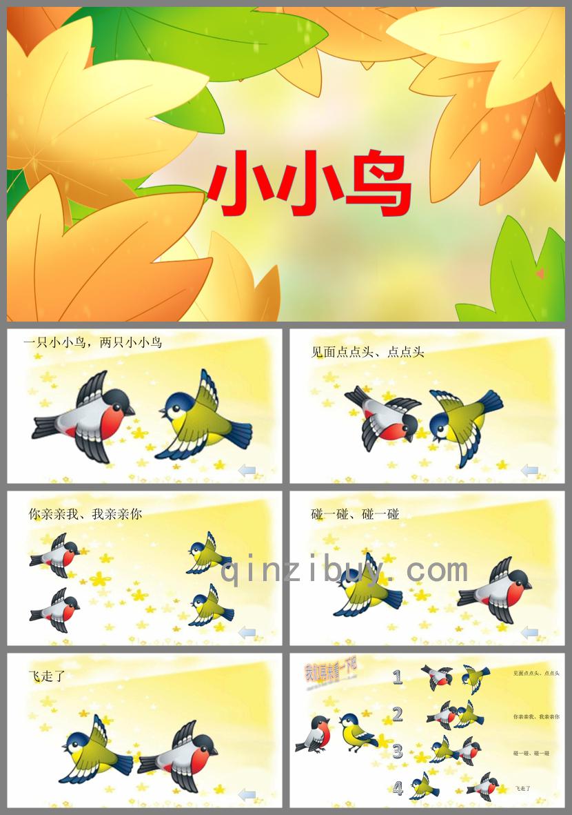 小班语言活动小小鸟PPT课件
