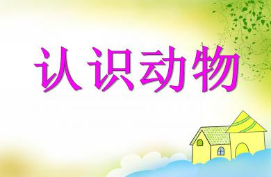 小班英语认识动物PPT课件