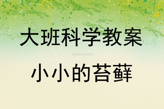 大班科学小小的苔藓教案反思