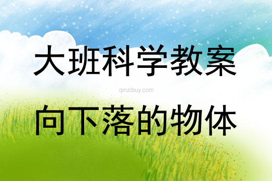 大班科学活动向下落的物体教案反思