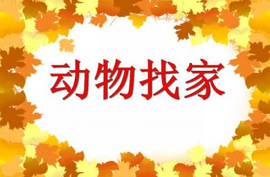 小班综合动物找家PPT课件
