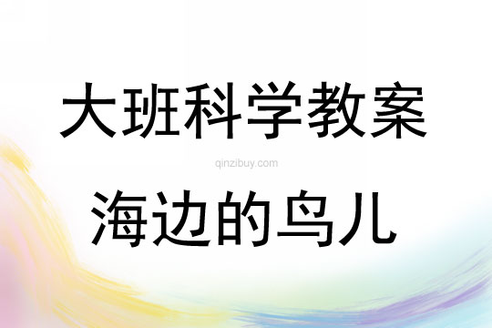 大班科学活动海边的鸟儿反思