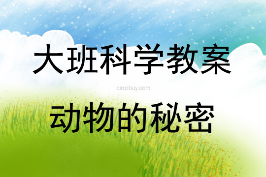 大班科学活动动物的秘密教案反思