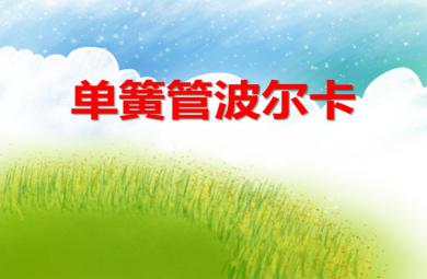 大班音乐活动单簧管波尔卡PPT课件